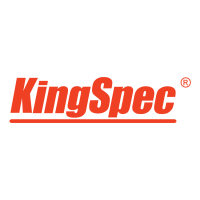 Descuentos de Kingspec