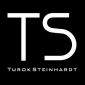 Turok Steinhard