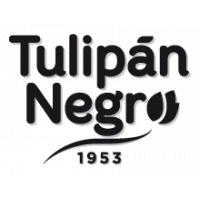 Descuentos de Tulipán Negro