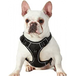 Chollo - 25&percnt; off en Arn&eacute;s Perro Antitirones