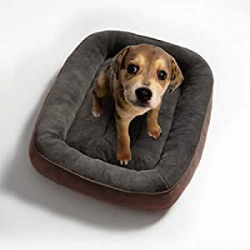 Chollo - 40&percnt; off en Cama Perro