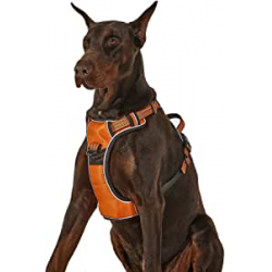 Chollo - 50&percnt; off en Arn&eacute;s Perro Antitirones para todos los ponibles