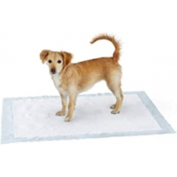 Chollo - Amazon Basics Empapadores de adiestramiento para perros 71x86cm 60 unidades