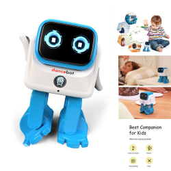 Chollo - ancebot AI Smart Robot