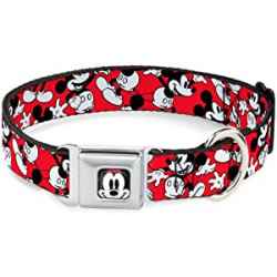 Chollo - Buckle Down Mickey Mouse Face2 Collar Perros