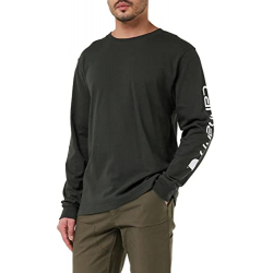 Chollo - Carhartt Logo Graphic Heavyweight Long-Sleeve Relaxed T-Shirt | EK231-306