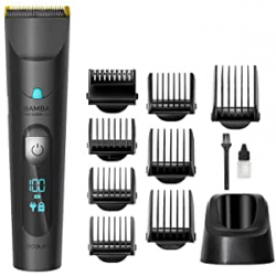 Chollo - Cecotec Bamba PrecisionCare Wet&Dry &vert; 4219