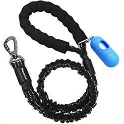 Chollo - Correa de Nylon para Perros &plus; Dispensador de Bolsas