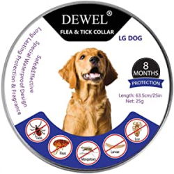 Chollo - DEWEL Collar Antipar&aacute;sitos Perros y Gatos 8 Meses