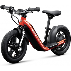 Ducati E-MOTO | DU-BI-210001