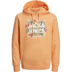 Chollo - Jack & Jones Becs Shape Sweat Hood &vert; 12225417&lowbar;600