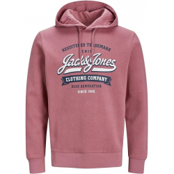 Chollo - Jack & Jones Logo 2 Col Hoodie &vert; 12233597&lowbar;2003