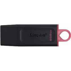 Chollo - Kingston DataTraveler Exodia 256GB | DTX/256GB