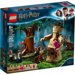 Chollo - LEGO Harry Potter: Bosque Prohibido El Engaño de Umbridge | 75967