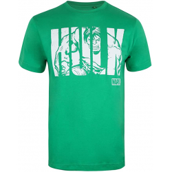 Chollo - Marvel Hulk Text T-Shirt &vert; RBMTS304-GRN