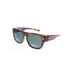 Chollo - Michael Pachleitner Group GmbH Sunglasses