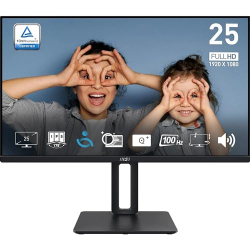 Chollo - MSI Pro MP251P