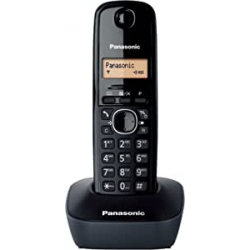Chollo - Panasonic KX-TG1611SPH