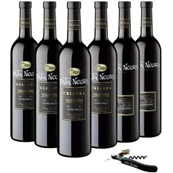 Chollo - Pata Negra DO Valdepe&ntilde;as 75cl &lpar;Pack de 6&rpar; &plus; Sacacorchos