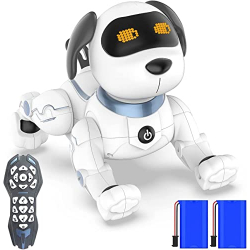 Chollo - Power Puppy Smart Dog | OKK K6