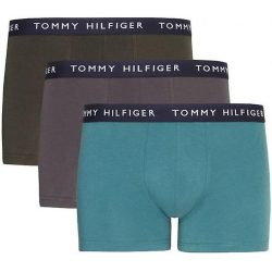 Tommy Hilfiger Essential Logo Waistband Trunks 3-Pack | UM0UM022030XX