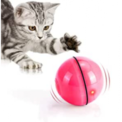 Chollo - WWVVPET Bola para Mascota