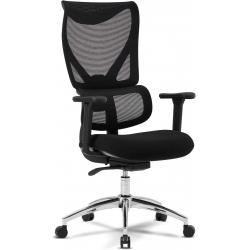 Chollo - Ximstar ‎Luna Series Executive Desk Chair